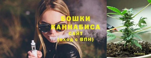 Альфа ПВП Аркадак