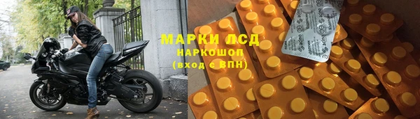 Альфа ПВП Аркадак
